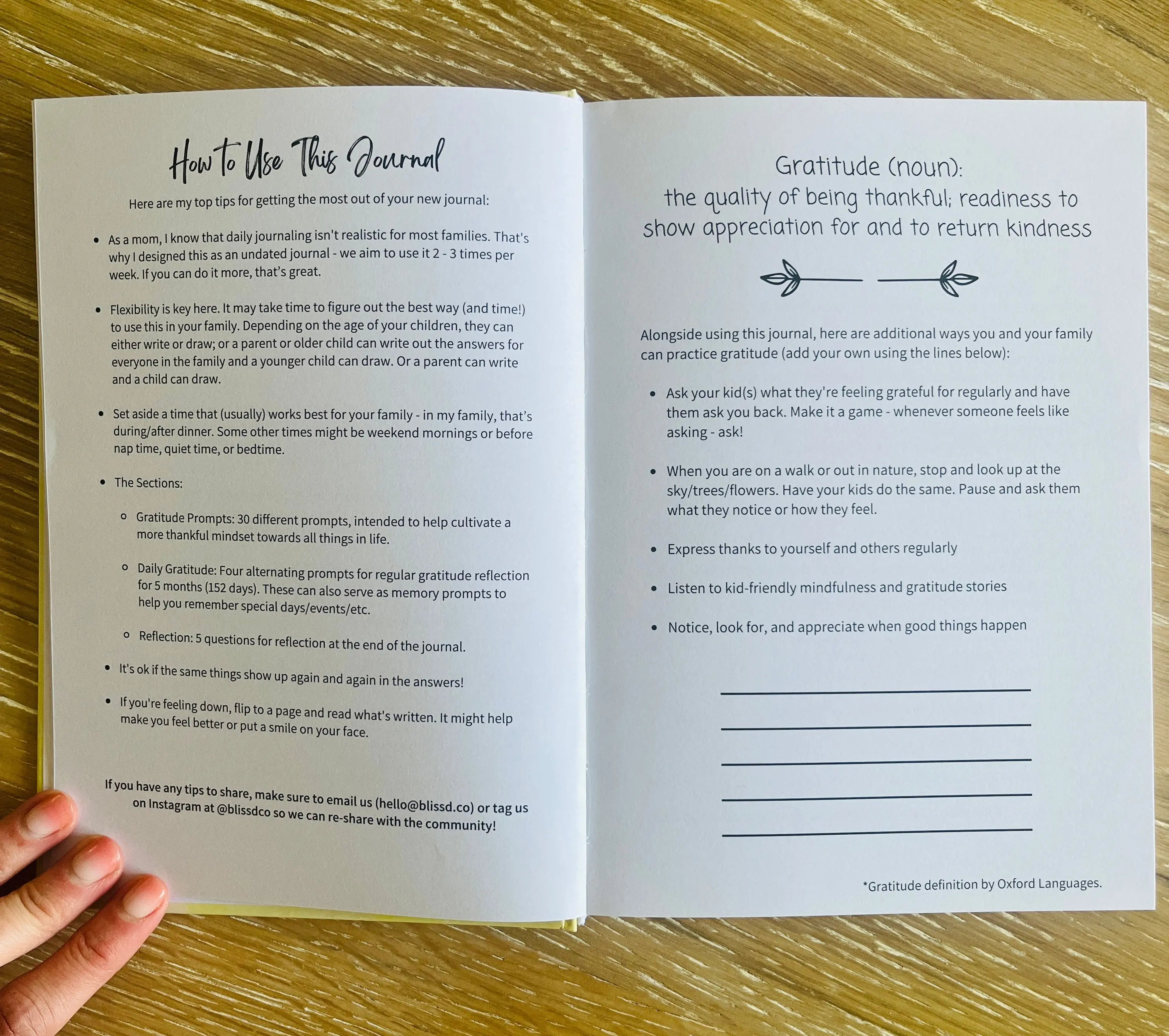 Mind + Body Self-Care Bundle: Reflection Journal & Rose Quartz Gua Sha Bliss&