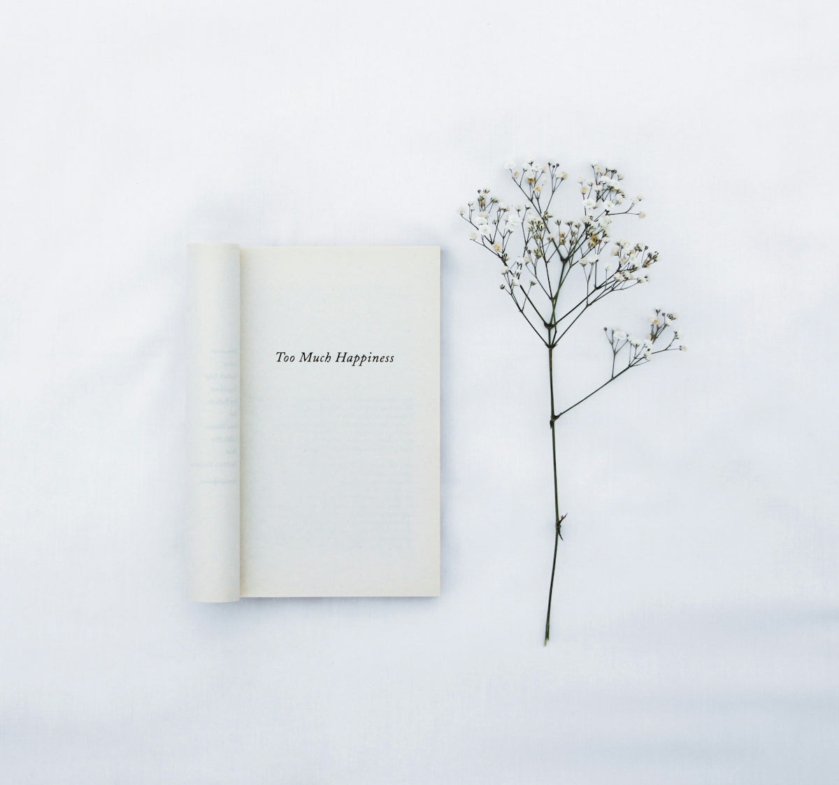 white book on white surface
